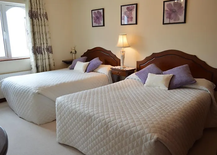 Caseys Homedale 3* Κιλάρνεϊ